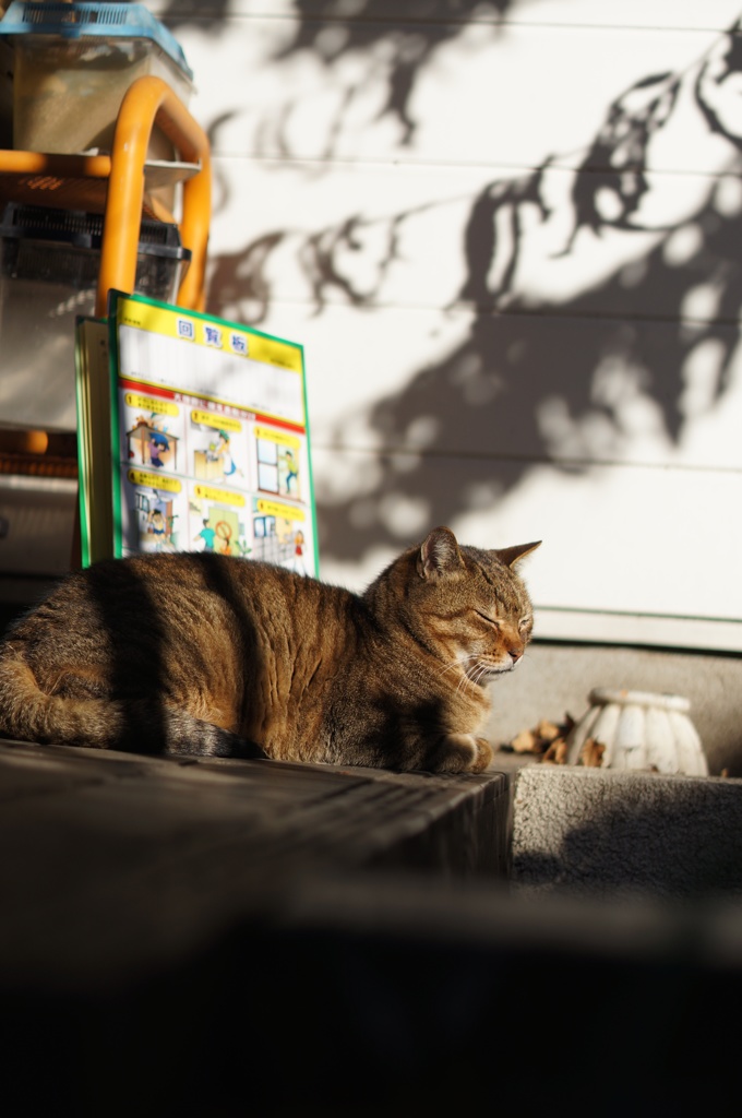 近所のマダム　３