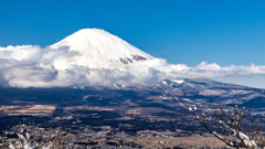 金時山から望む富士山