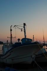 勝浦の漁港