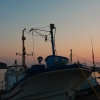 勝浦の漁港