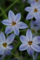 日比谷公園にて