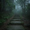 雨の筑波山
