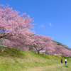 春よ来い