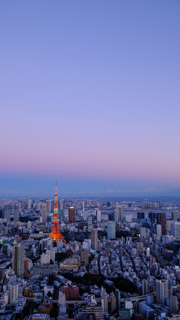 TOKYOは夜の７時♪