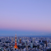 TOKYOは夜の７時♪