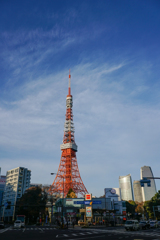 元祖TOKYOのクリスマスツリー