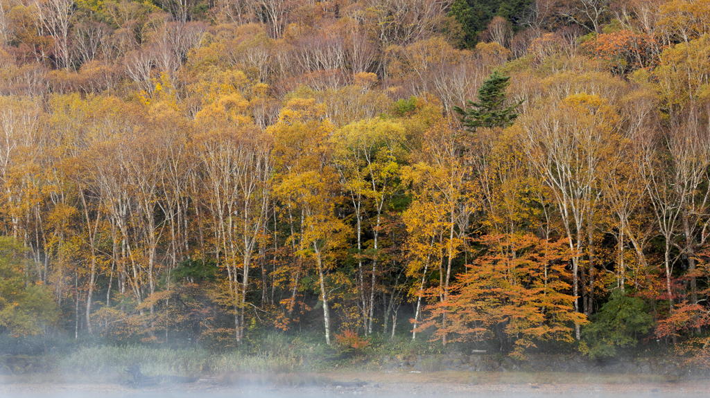 丸沼の紅葉