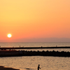 海辺の夕釣り