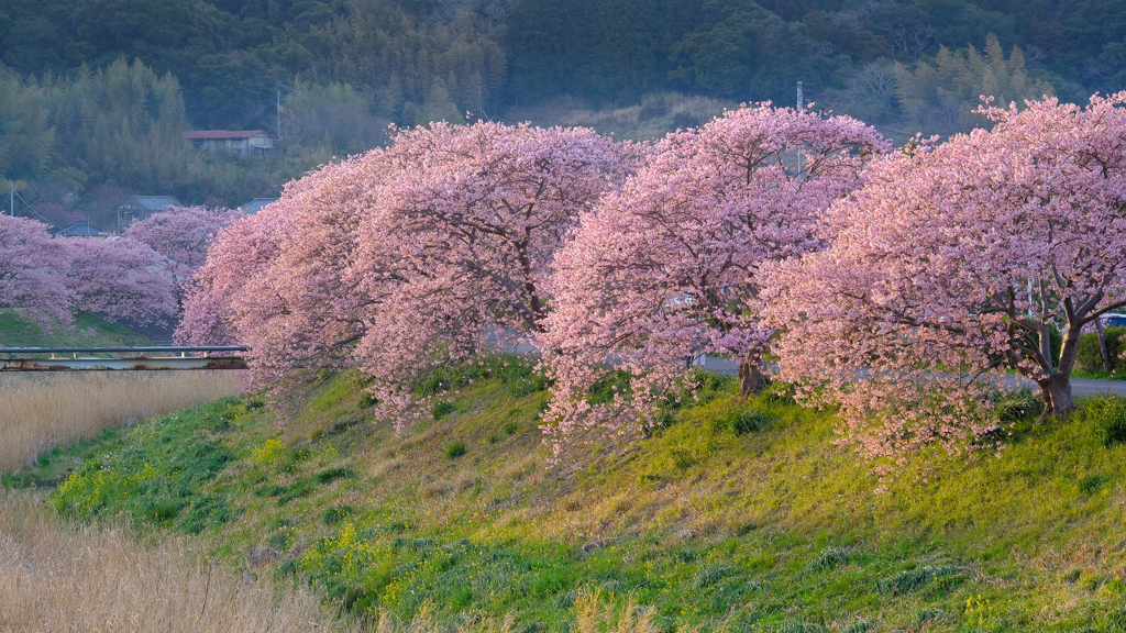 春の日のおわりに