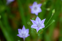 日比谷公園にて