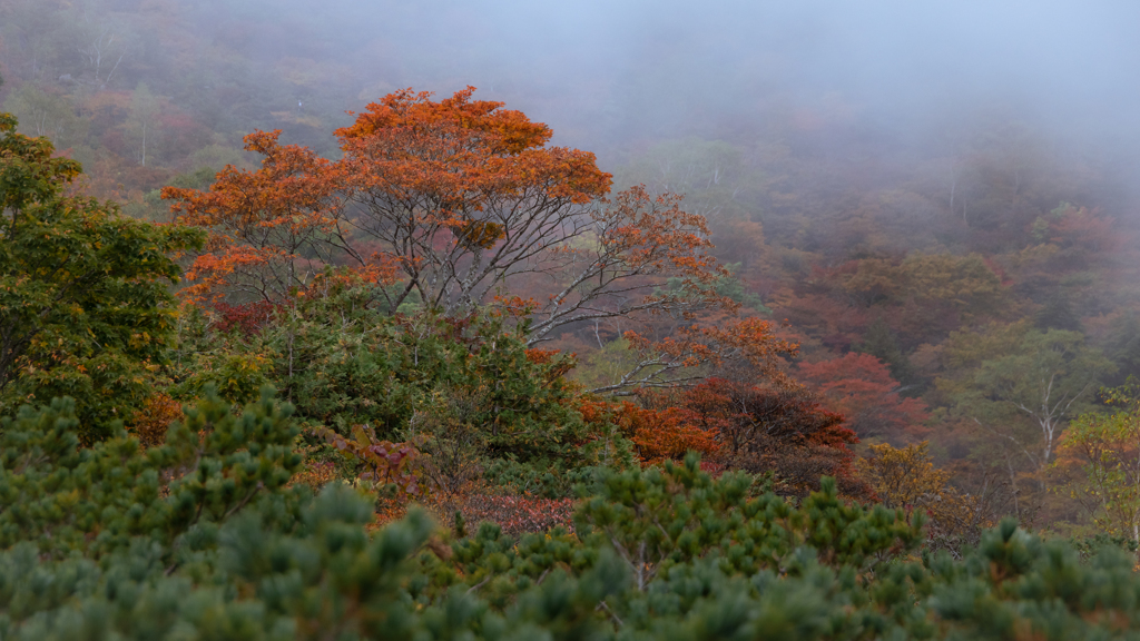 那須岳の紅葉