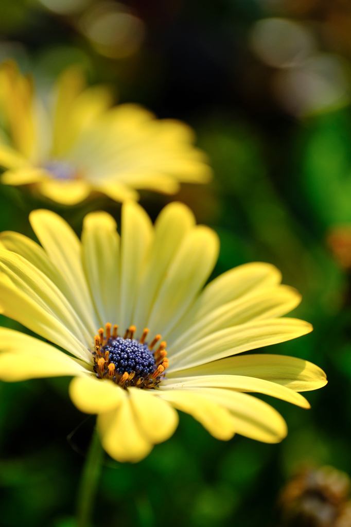 A Sunny Day