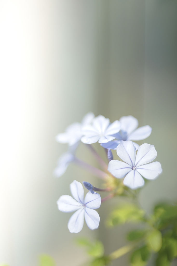 午後の１枚