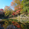 紅葉の嵐山渓谷