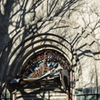From Lightroom Library