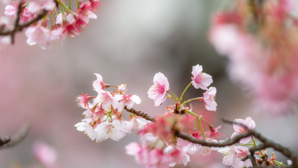 From Lightroom Library
