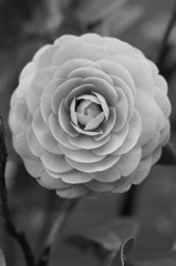 DSC01609