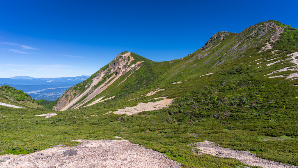 夏の天狗岳