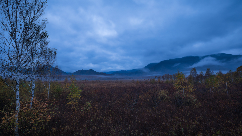 From Lightroom Library