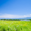 福島潟