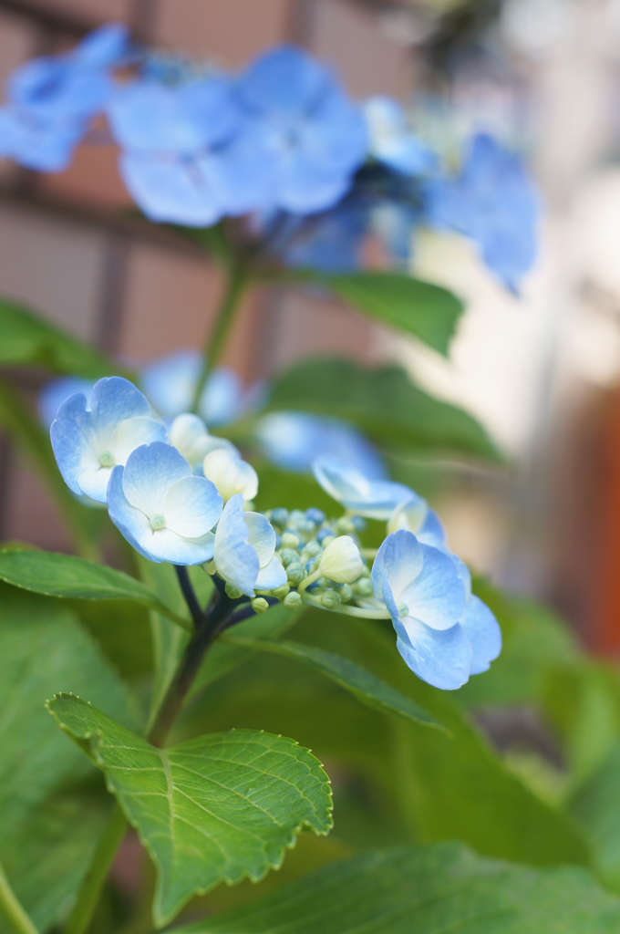 町に涼しさを