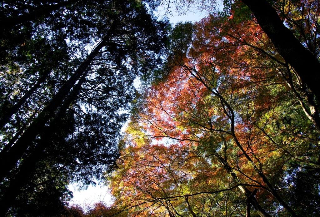 もみじの郷にて