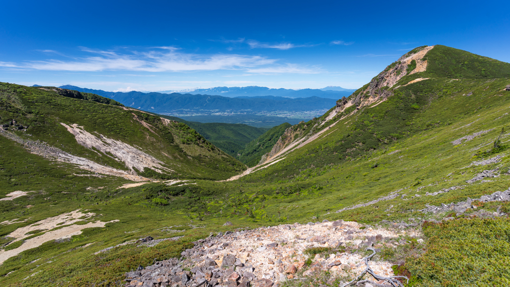 アルプスの山々を望む