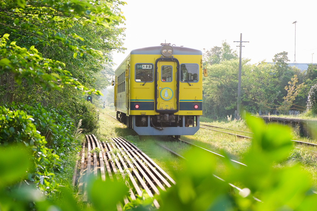 いすみ鉄道　ムーミン電車