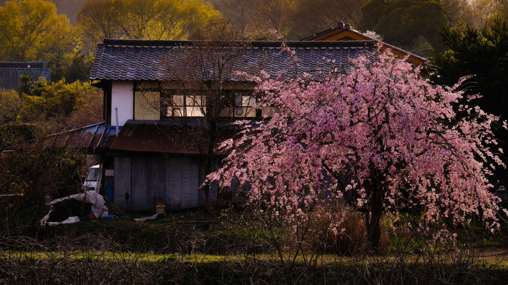 里の夕暮れに煌めく