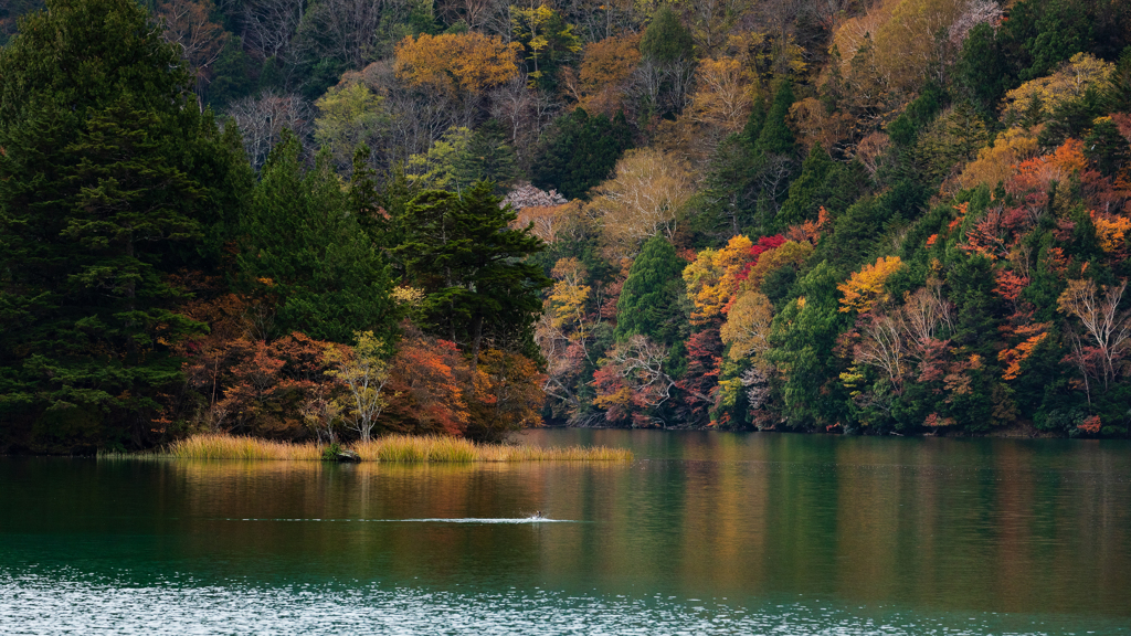 秋の湯ノ湖