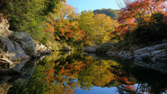 紅葉の嵐山渓谷