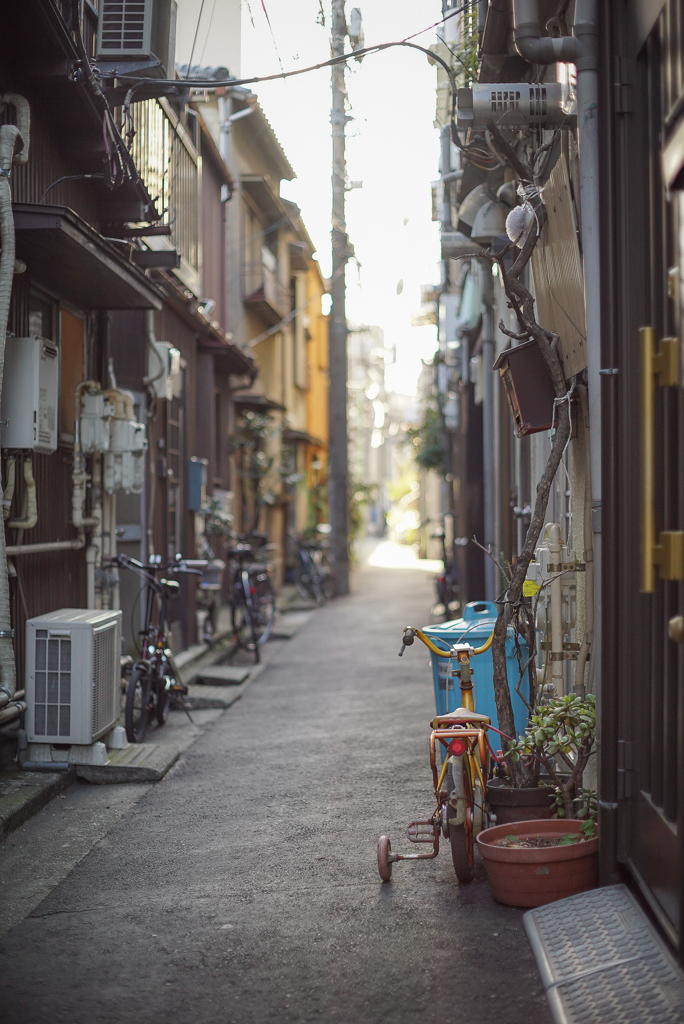 千駄木の路地裏