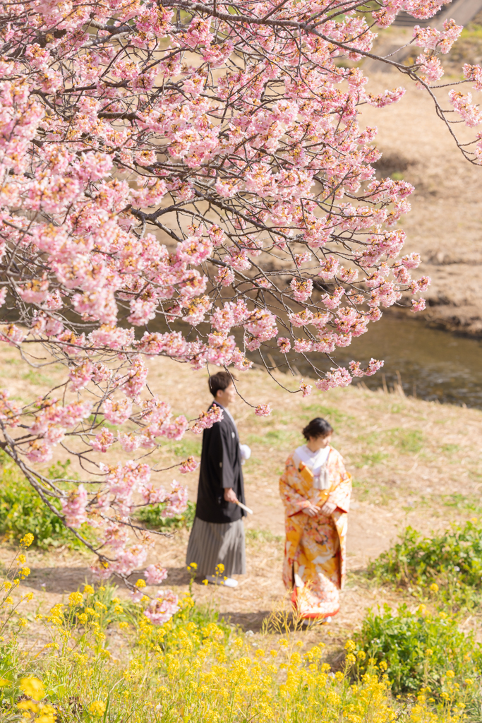 春の門出