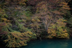 ダム湖のほとり