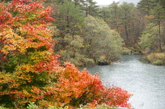 紅葉3