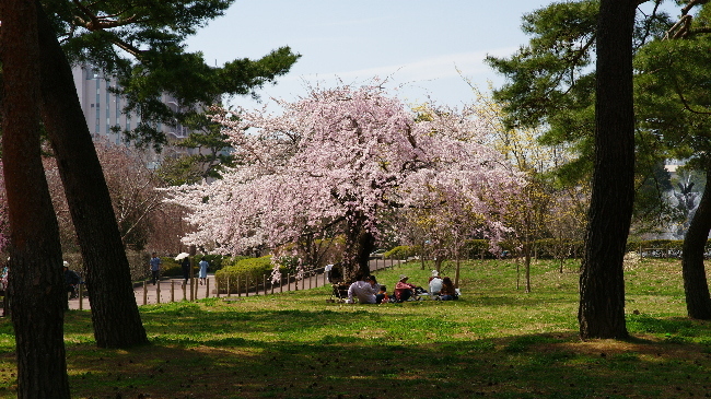 榴岡公園１