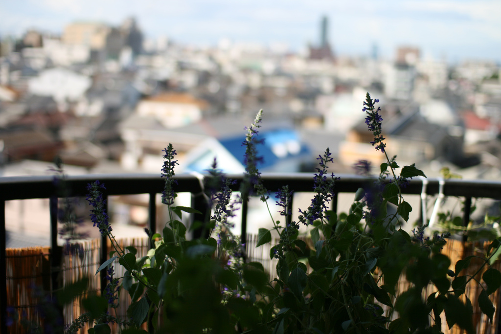 balcony