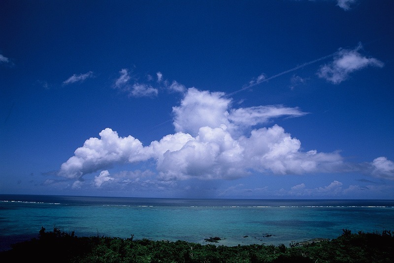 浮かぶ雲