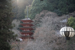 奈良・長谷寺の五重塔