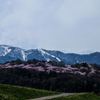Spring of Furano
