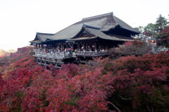 秋の清水寺