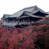 秋の清水寺