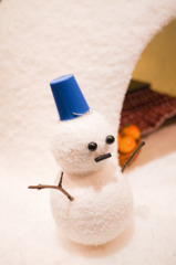 snowed