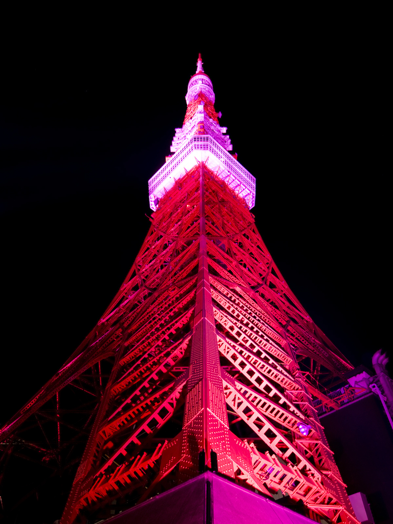 Pink ribbon in Tokyo tower 
