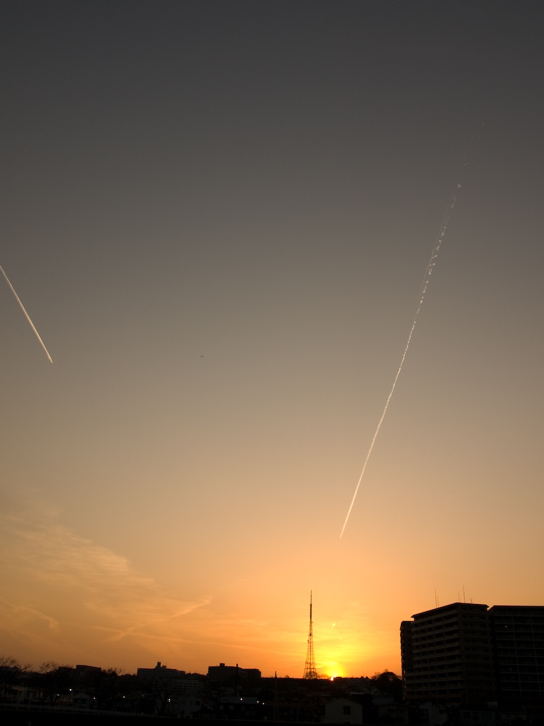 夕日に向かって