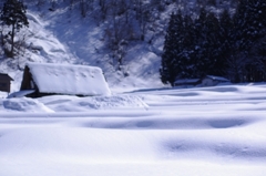 雪の白川