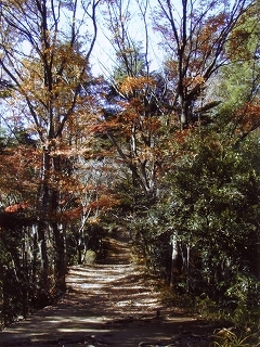 東京八王子「秋の高尾山」