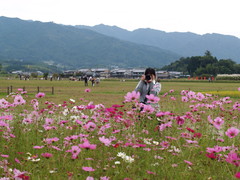 藤原宮跡公園にて