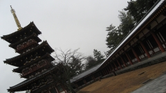 塔
