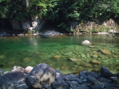 屋久島の川